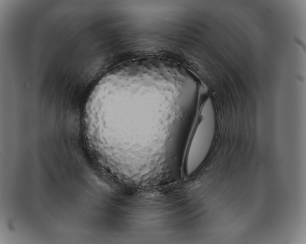 X0000091340642200708311457