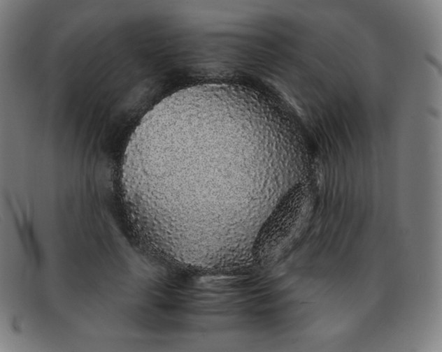 X0000091340643200708311457