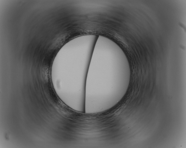 X0000091340644200708311457