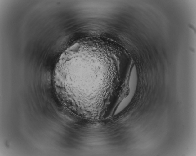 X0000091340646200708311457