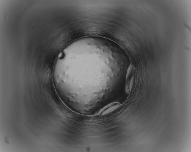 X0000091340647200708311457