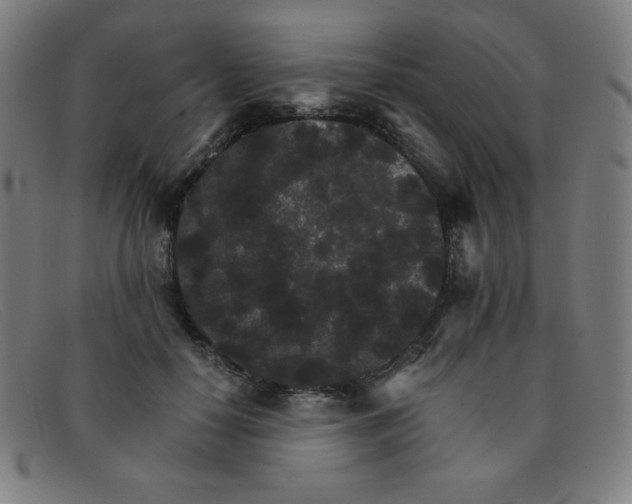 X0000091340650200708311457