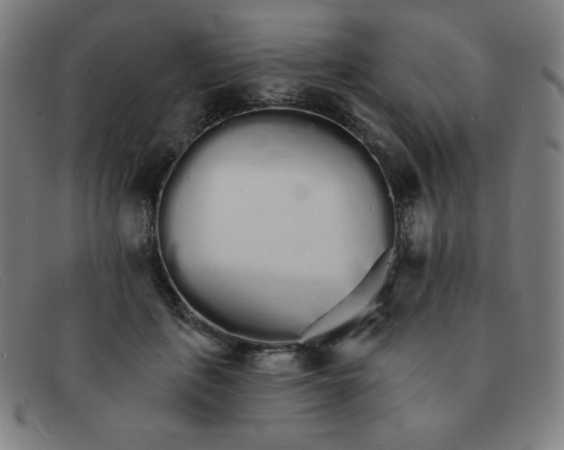 X0000091340651200708311457