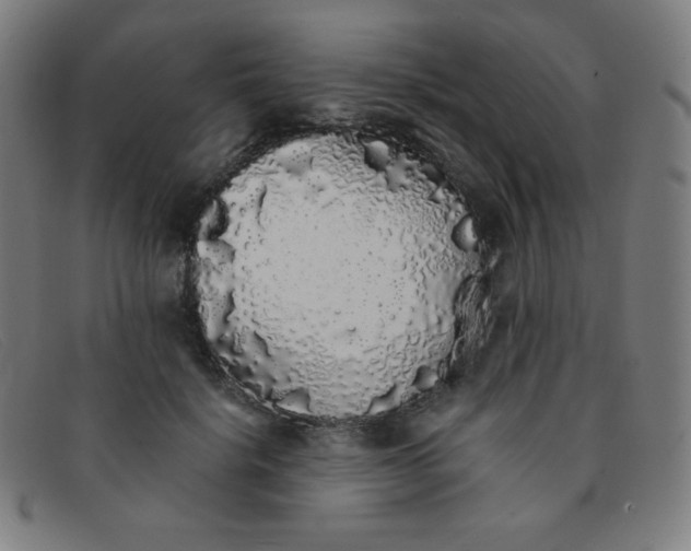 X0000091340652200708311457