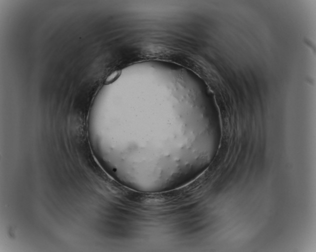 X0000091340653200708311457