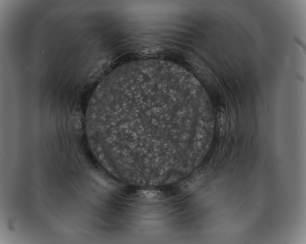 X0000091340654200708311457