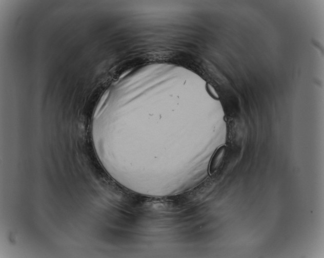 X0000091340655200708311457