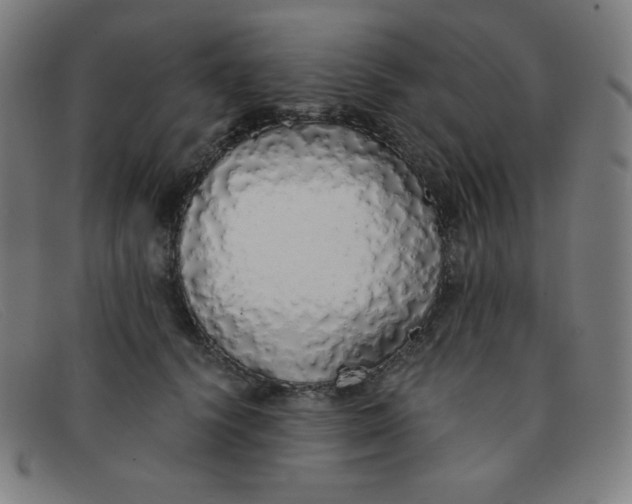 X0000091340656200708311457