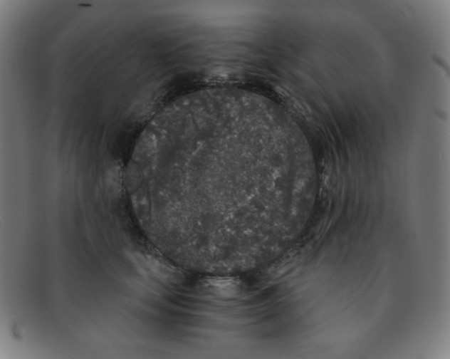 X0000091340659200708311457