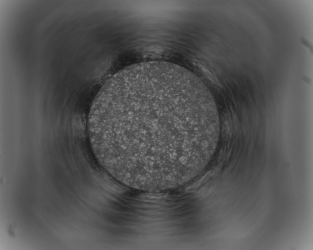 X0000091340661200708311457