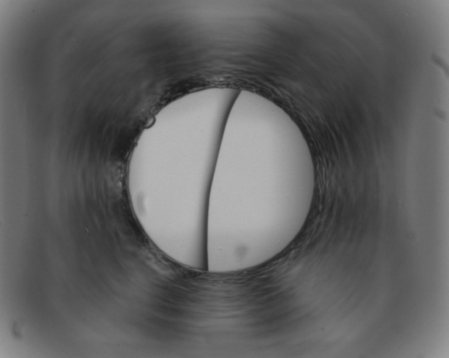 X0000091340664200708311457