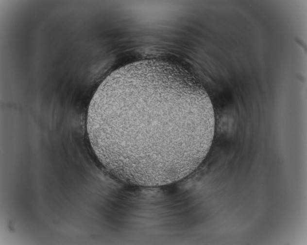 X0000091340666200708311457