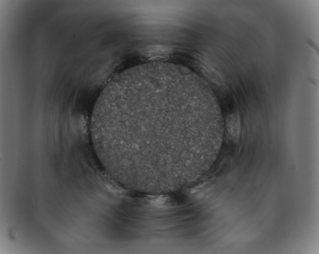 X0000091340667200708311457