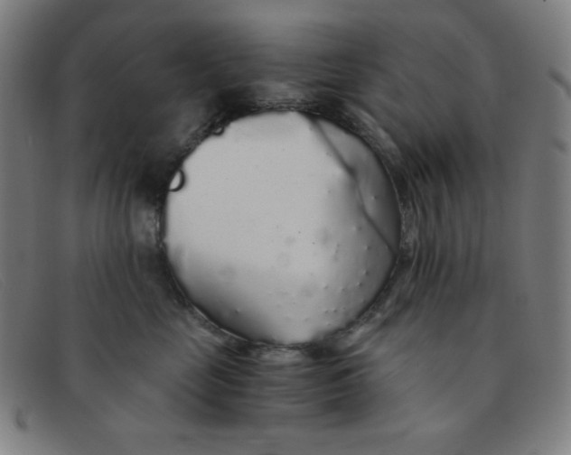 X0000091340669200708311457