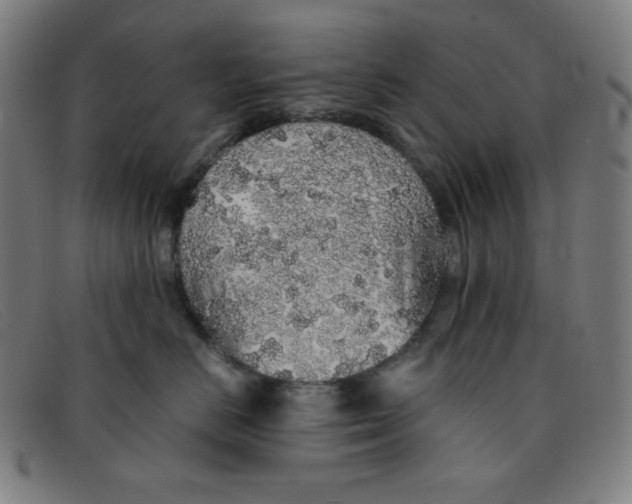 X0000091340670200708311457