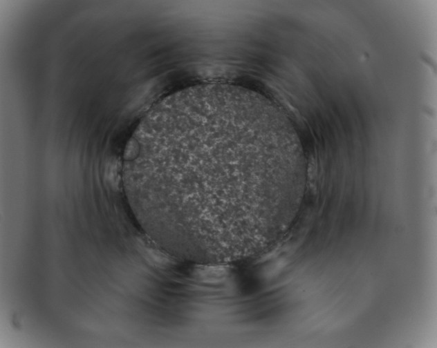 X0000091340671200708311457