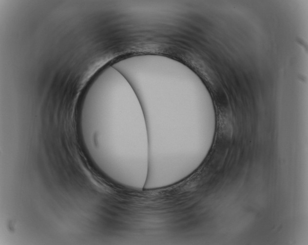 X0000091340674200708311456