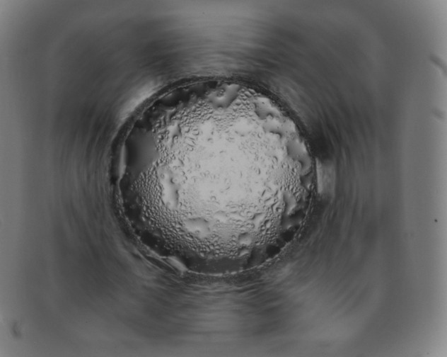 X0000091340675200708311456