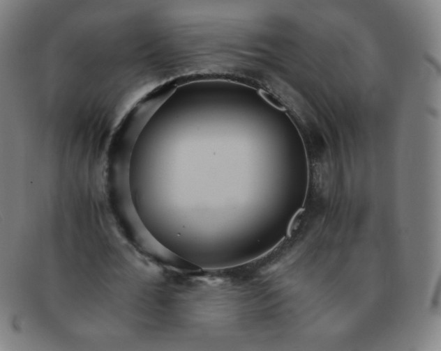 X0000091340676200708311456