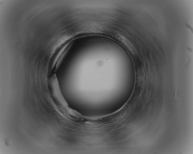 X0000091340677200708311456