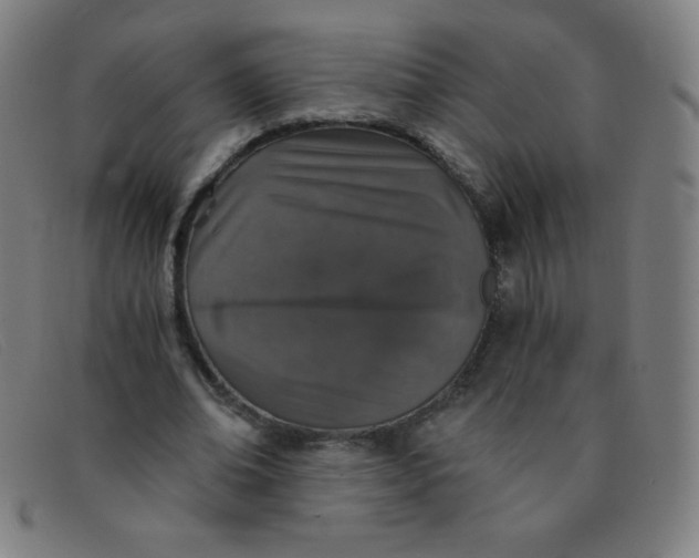 X0000091340678200708311456