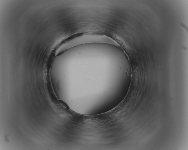 X0000091340680200708311456