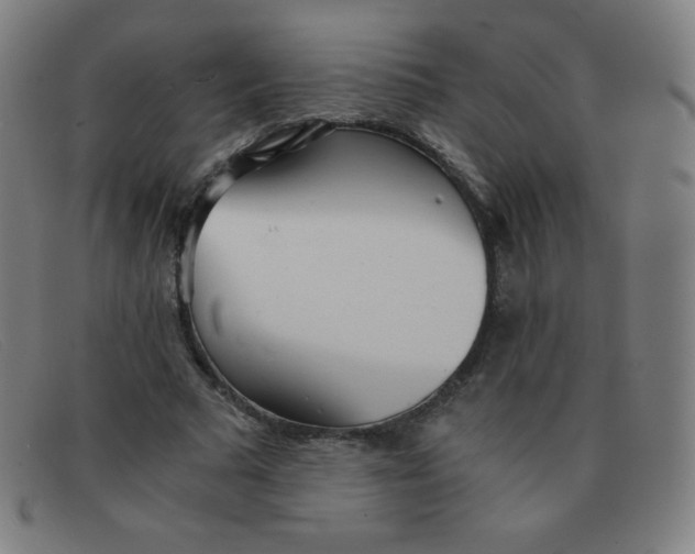 X0000091340681200708311456