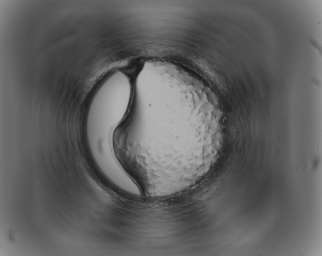 X0000091340683200708311456