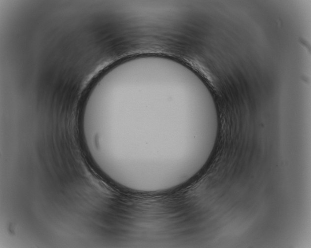 X0000091340684200708311456