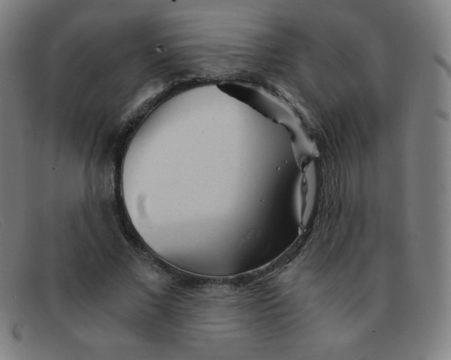 X0000091340685200708311456