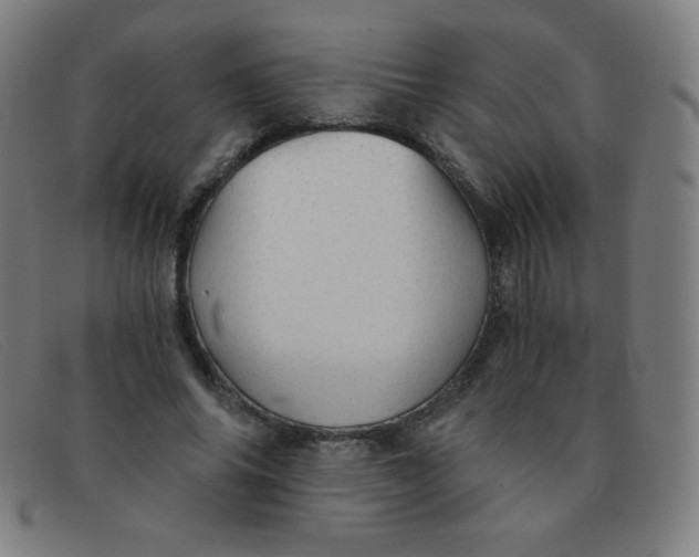 X0000091340686200708311456