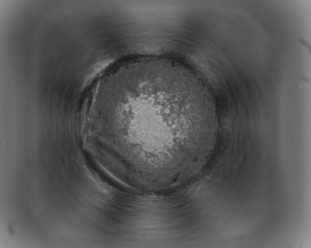 X0000091340688200708311456