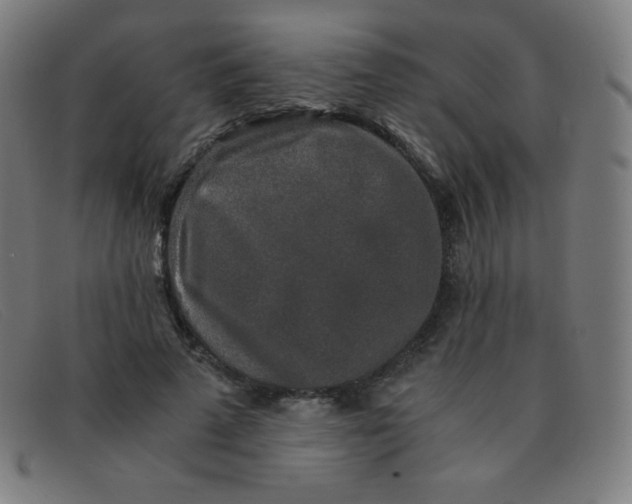 X0000091340689200708311456