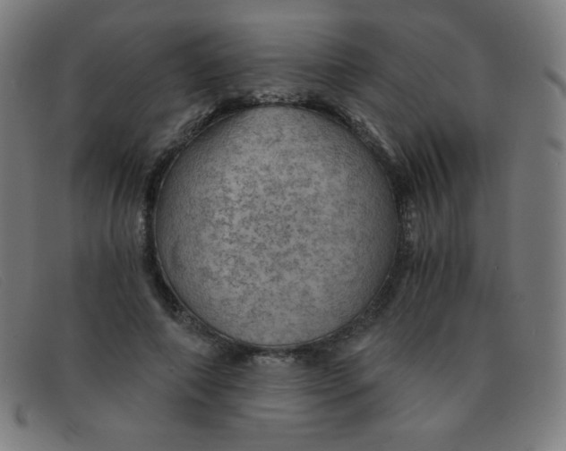 X0000091340690200708311456