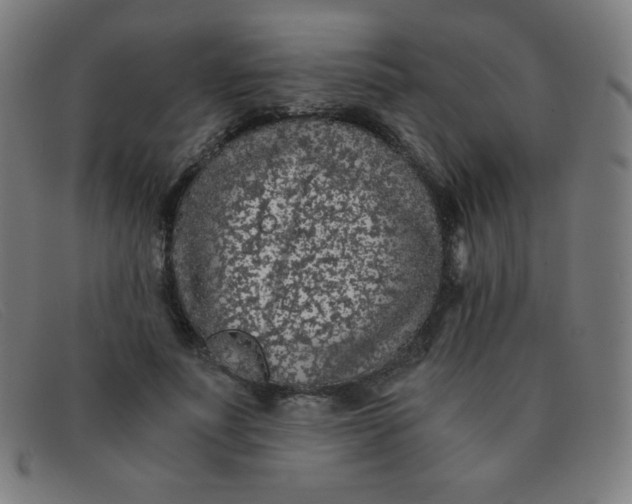 X0000091340691200708311456