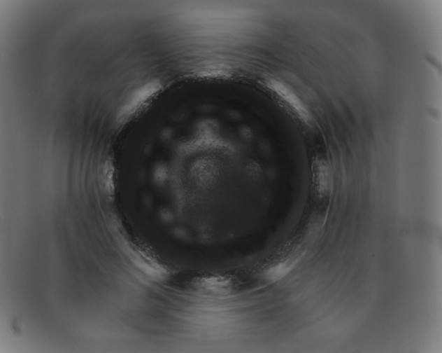 X0000091340692200708311456