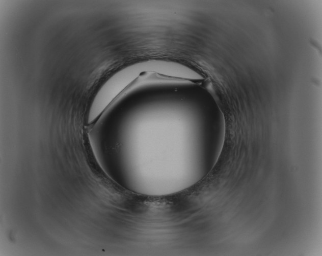 X0000091340693200708311456