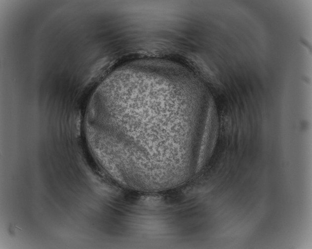 X0000091340694200708311456