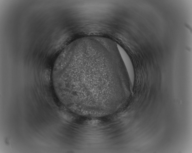 X0000091340695200708311456