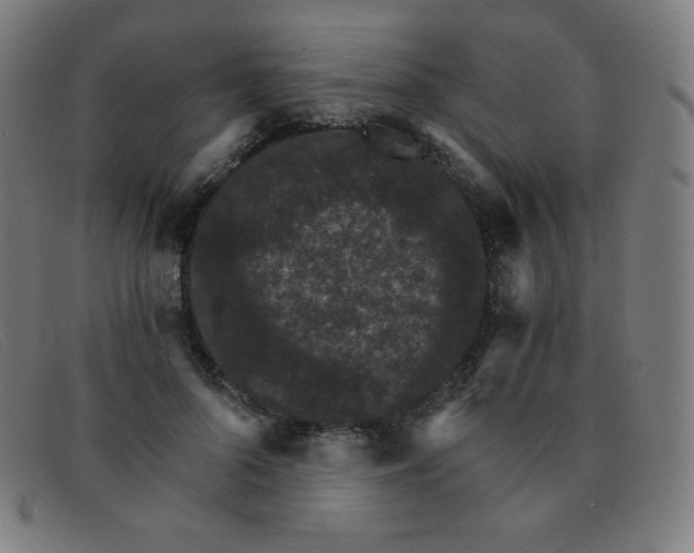 X0000091340696200708311456