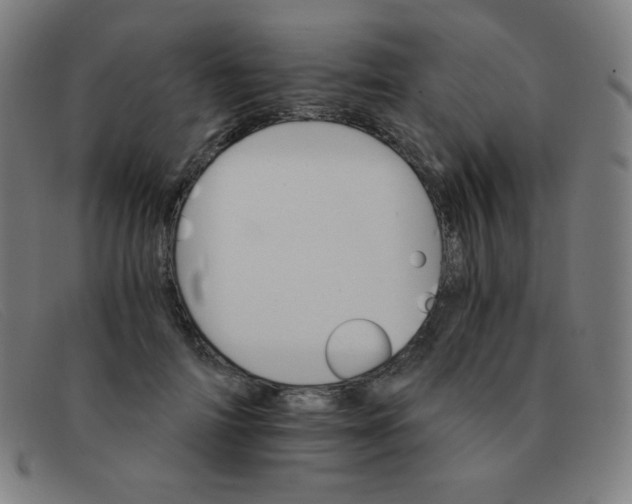 X0000091340698200708311456