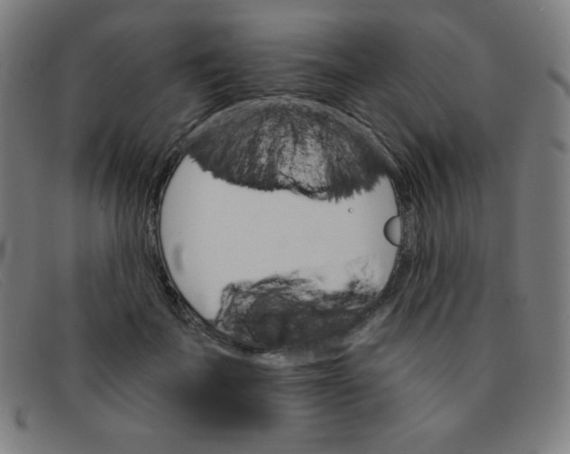 X0000091340699200708311456