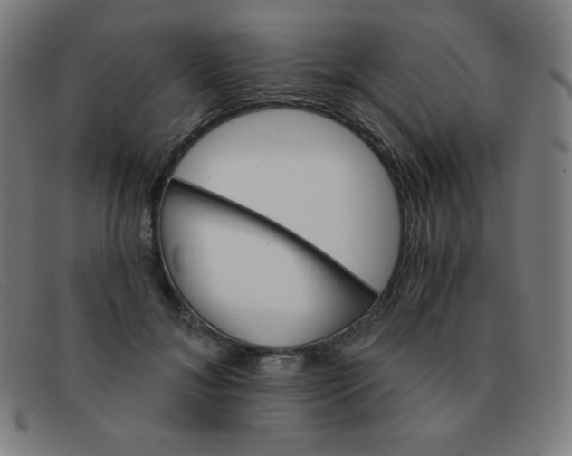 X0000091340700200708311456