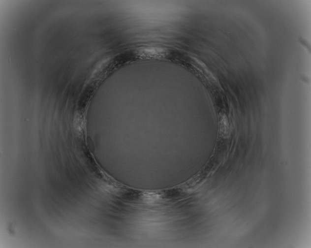 X0000091340701200708311456