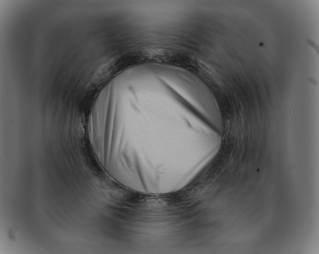 X0000091340702200708311456