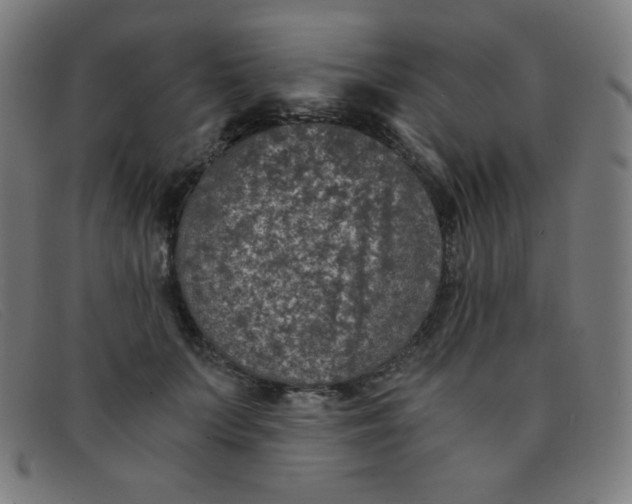 X0000091340703200708311456