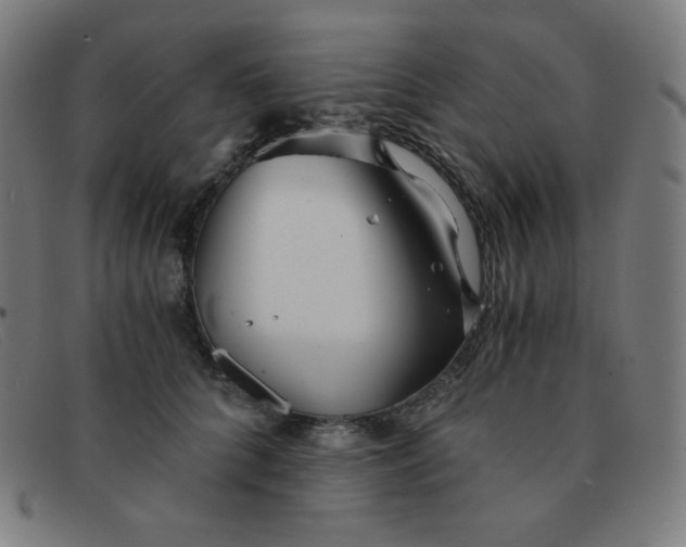 X0000091340704200708311456