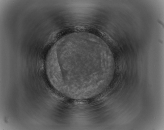 X0000091340706200708311456