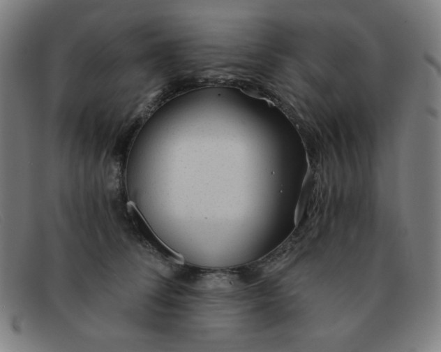 X0000091340708200708311456