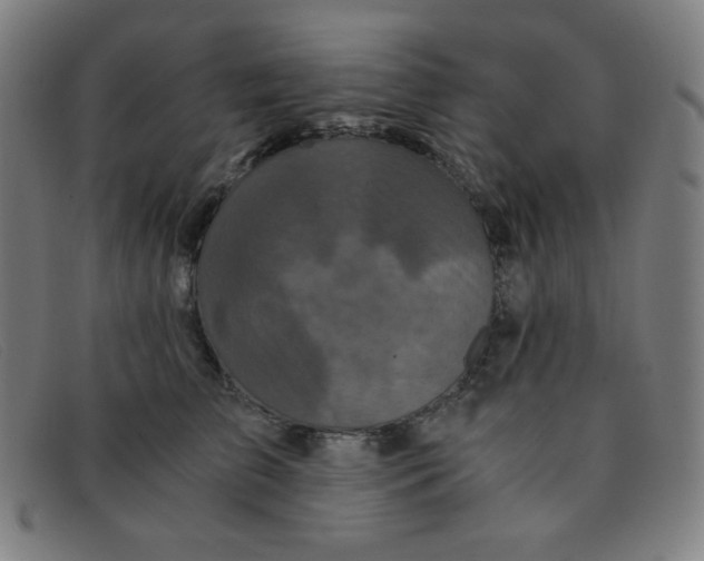 X0000091340709200708311456